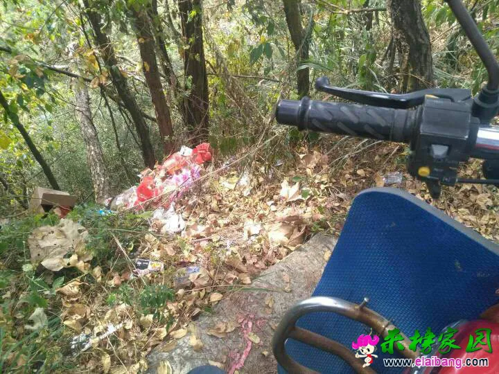 123953ld84wpjp6prxarnz.webp