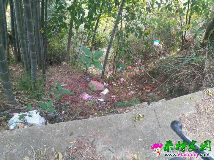 123957da65yqki5h65kfl9.webp