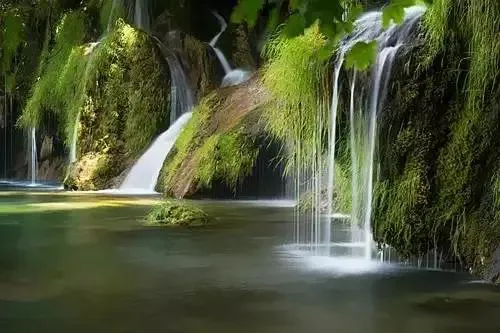 b520a6707be7d17685ee8b5207771dbd.webp