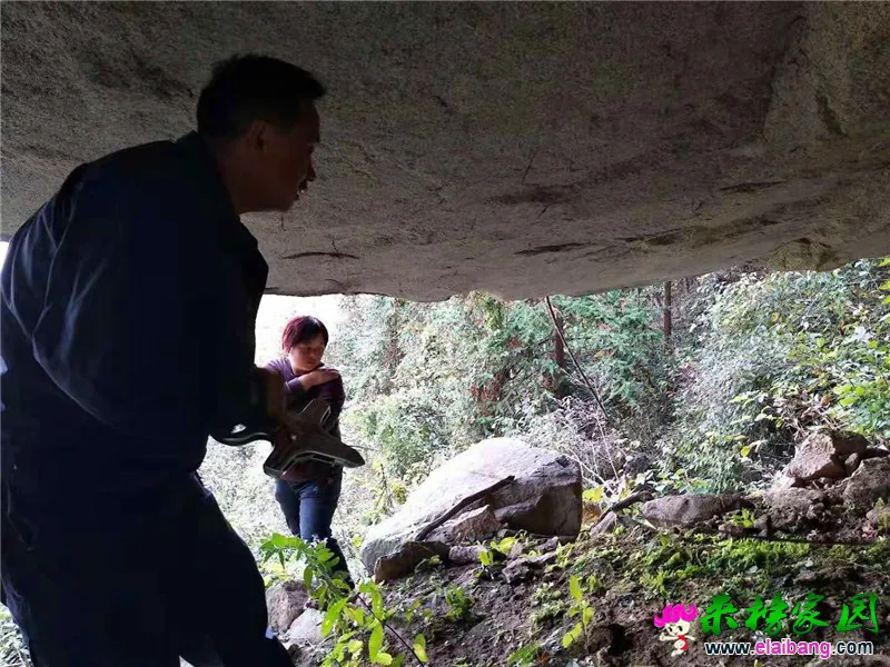 52.webp