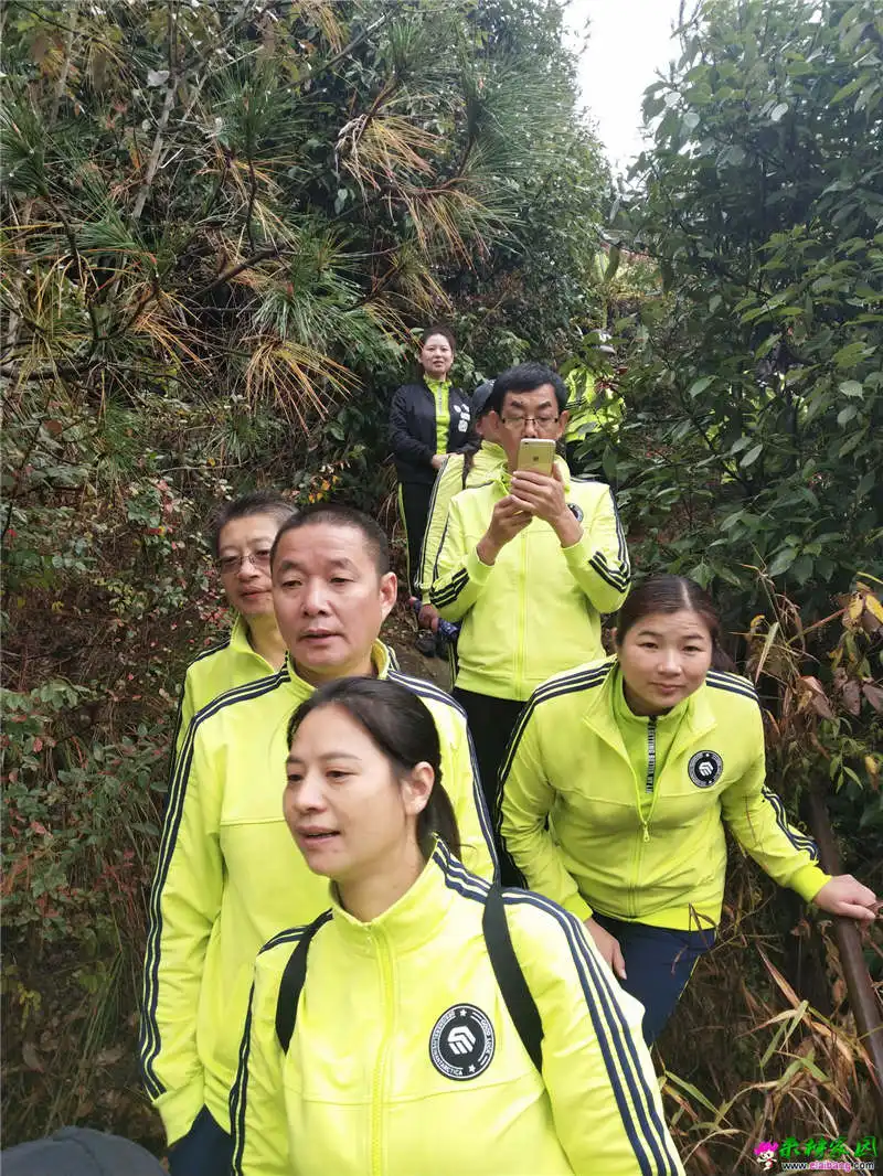 mmexport1539525385784_调整大小.webp