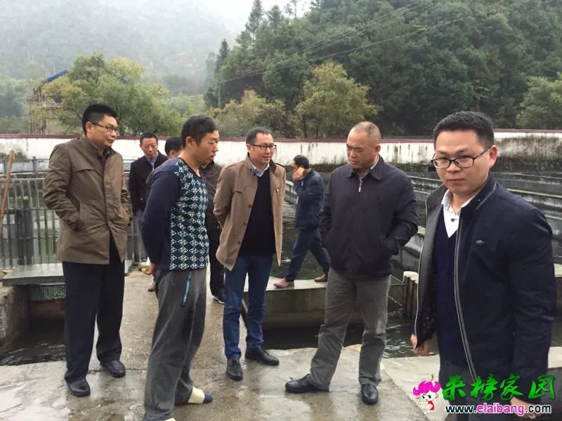 微信图片_20181015230219.webp