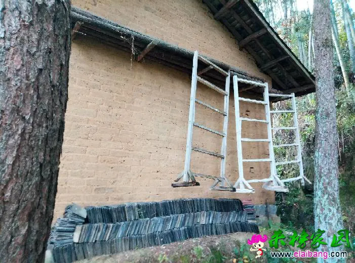184933poq2mvmg82559ars.webp