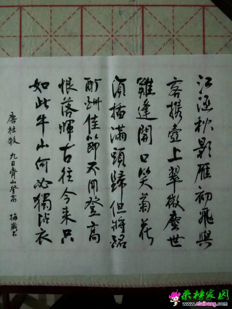 220827z9o9iohi5p0d0ini.webp
