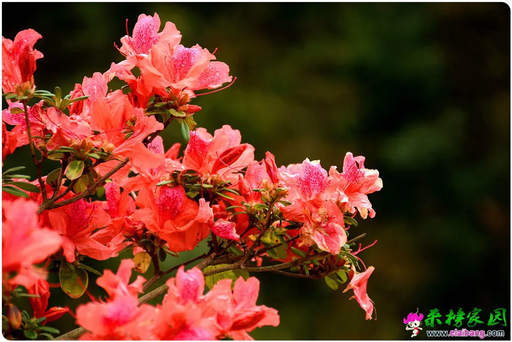 DSC_5902.webp