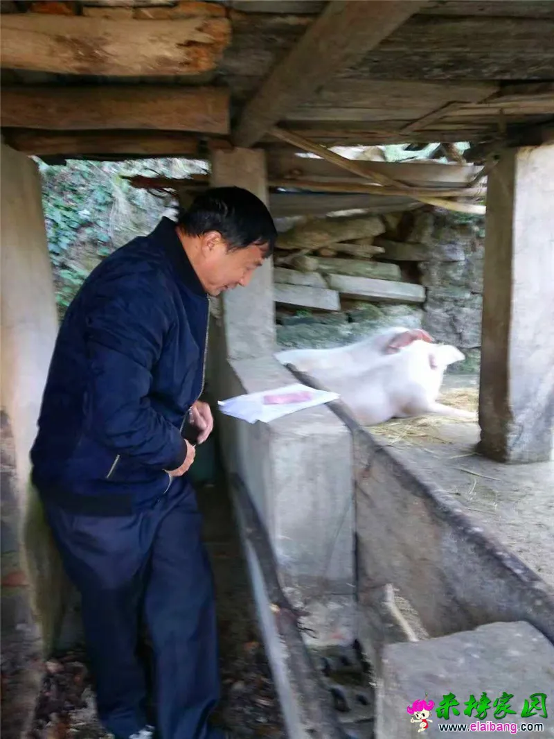 微信图片_20181028213353.webp