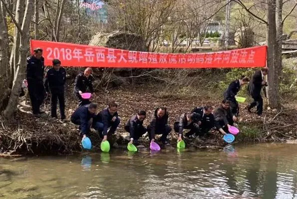TIM截图20181102203220.webp