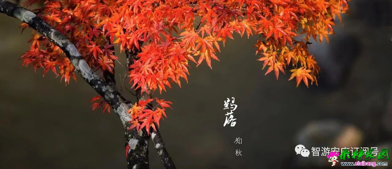 76c2119fb8f00222df15b6fea306d03d.webp