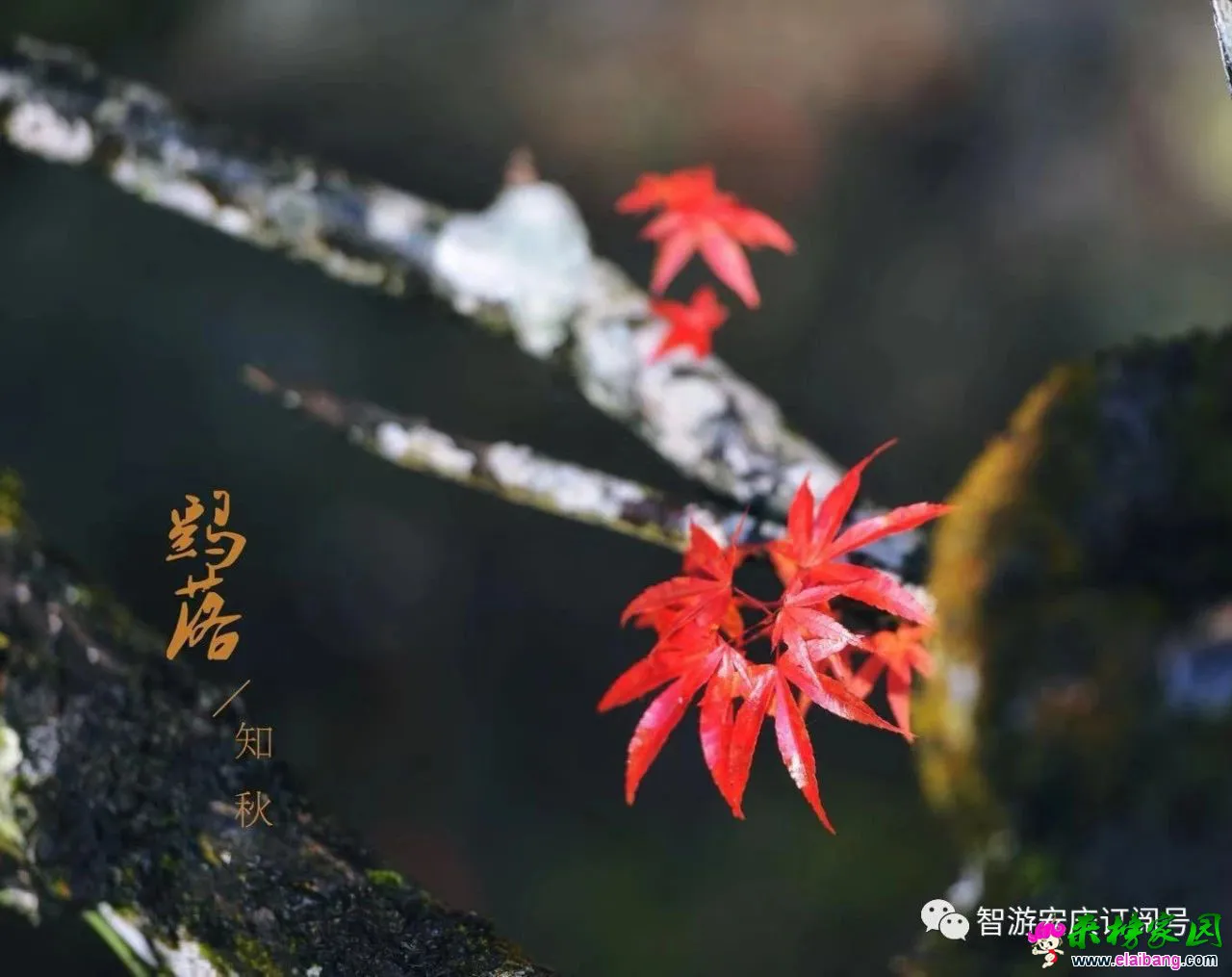139317525fd819becbde5a6e04017e32.webp