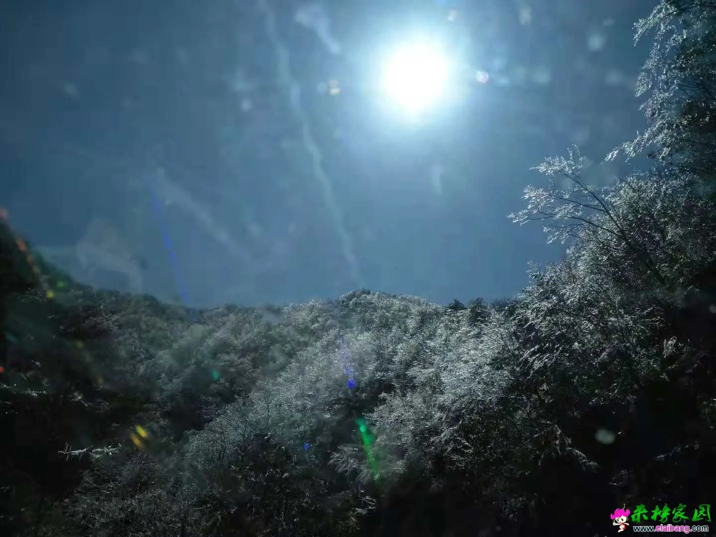 微信图片_20181108221924.webp