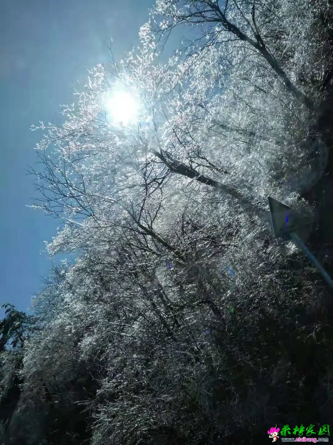 微信图片_20181108221943.webp