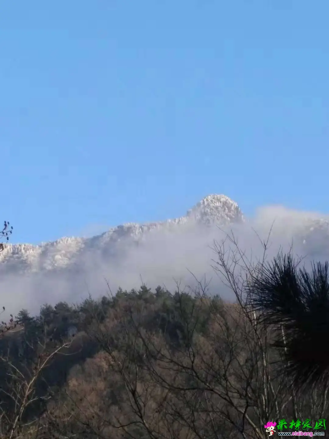 微信图片_20181108221937.webp