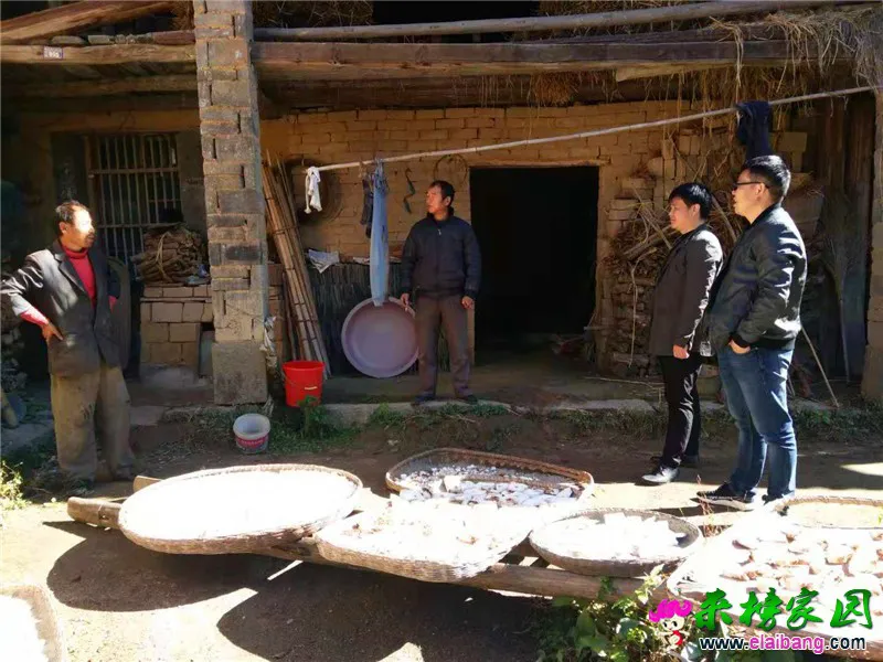 微信图片_20181109214724.webp