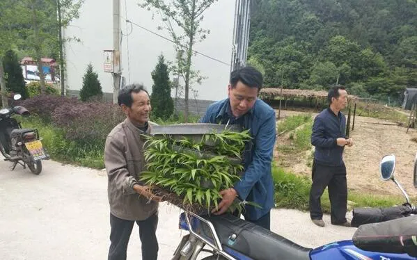 TIM截图20181116210104.webp