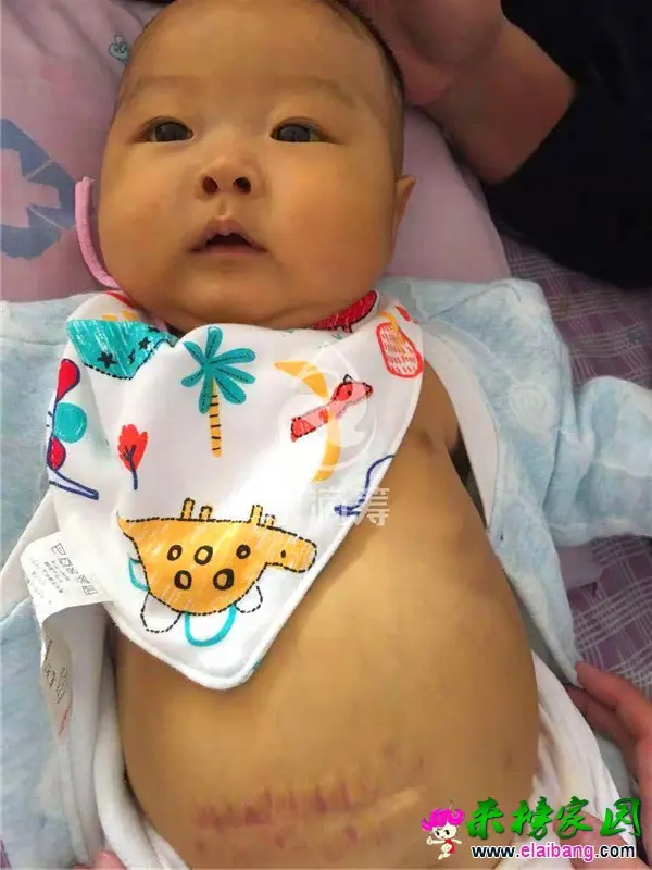 微信图片_20181121210328.webp