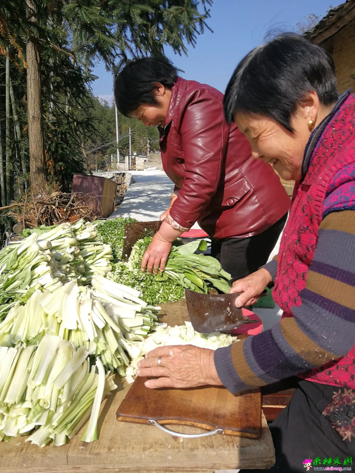 TIM图片20181125204613.webp