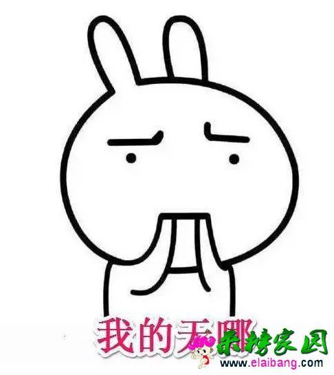 430101c8b46498327730a4aeff575f53.webp