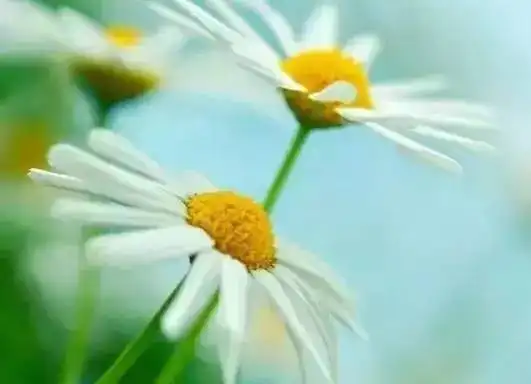 727e01c77314fd70bdb96d13057a5004.webp