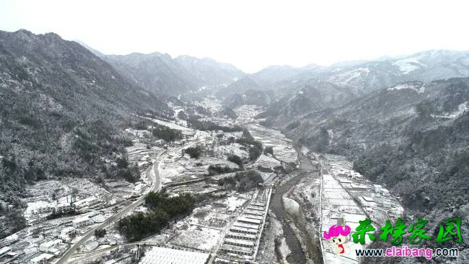084012xik9lamnzw3m97ai.webp