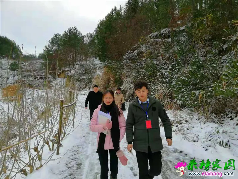 微信图片_20181208170008.webp