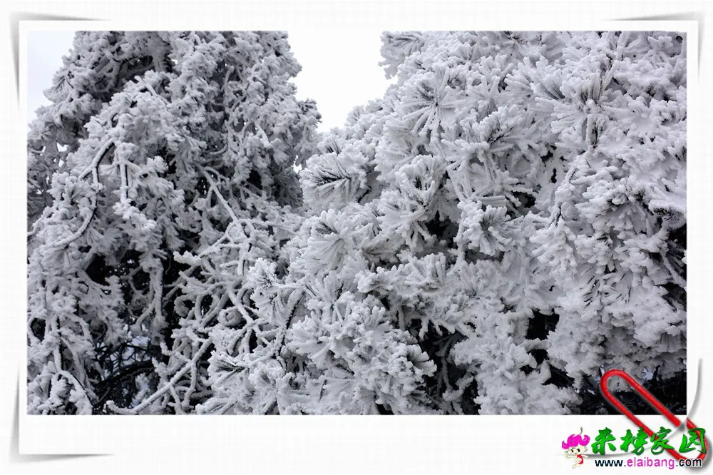 DSC_6270.webp