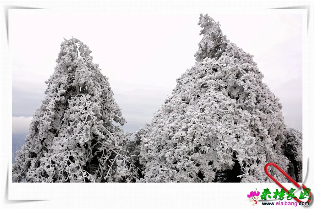 DSC_6273.webp