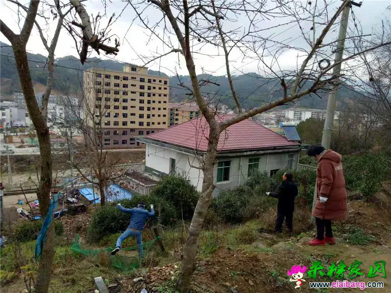 微信图片_20181211194220.webp