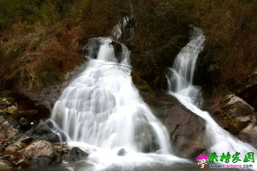 173853mmympbpmapa4mgjm.webp