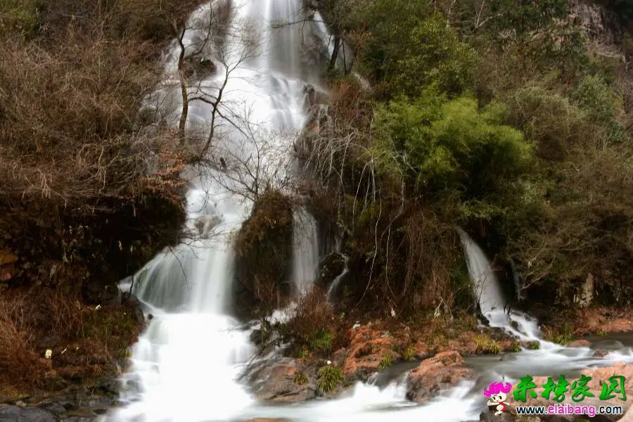 173858gjoj973wo22bw9kw.webp