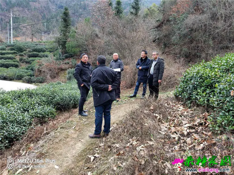 微信图片_20181219223847.webp