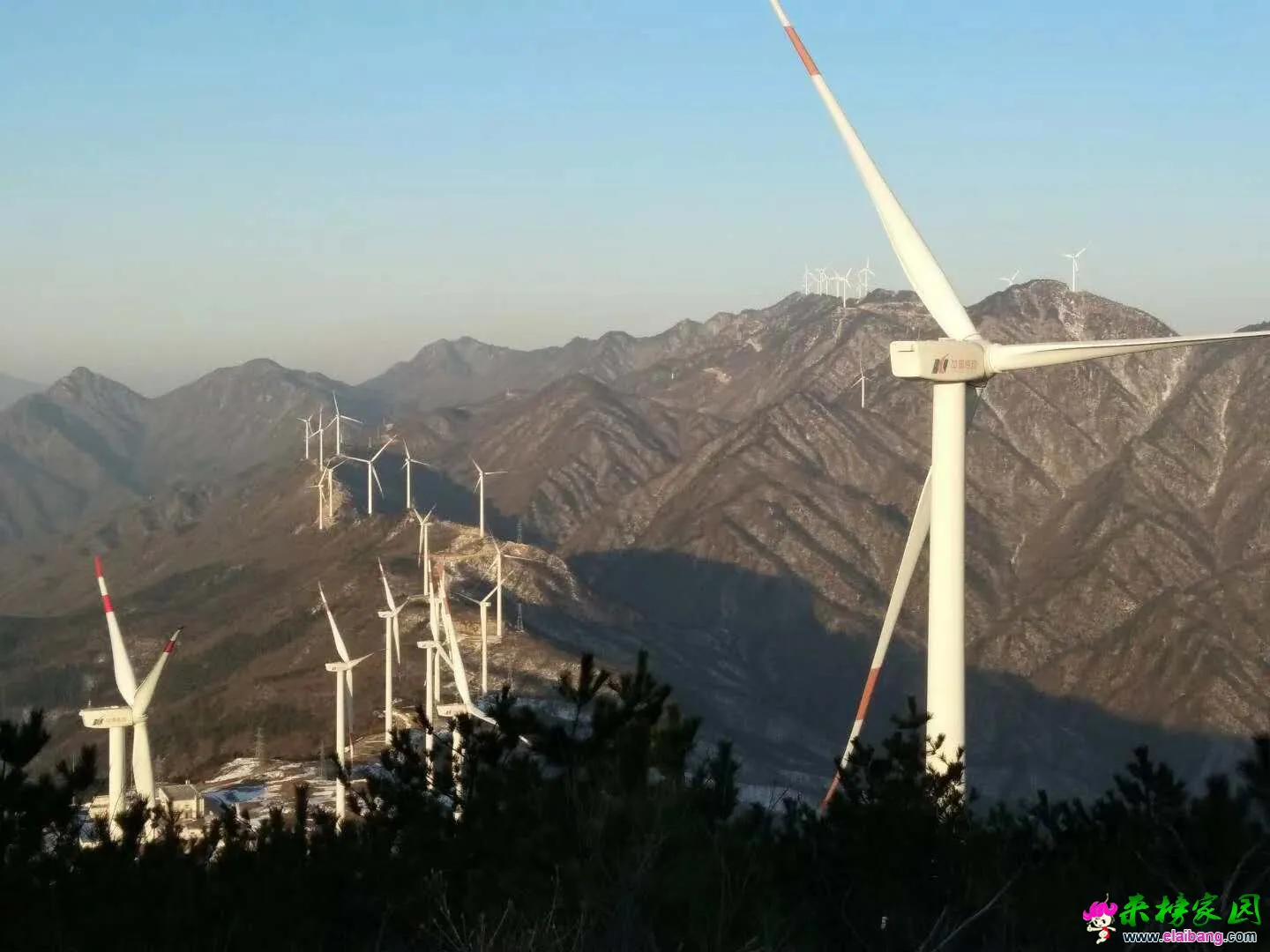 微信图片_20181220215651.webp