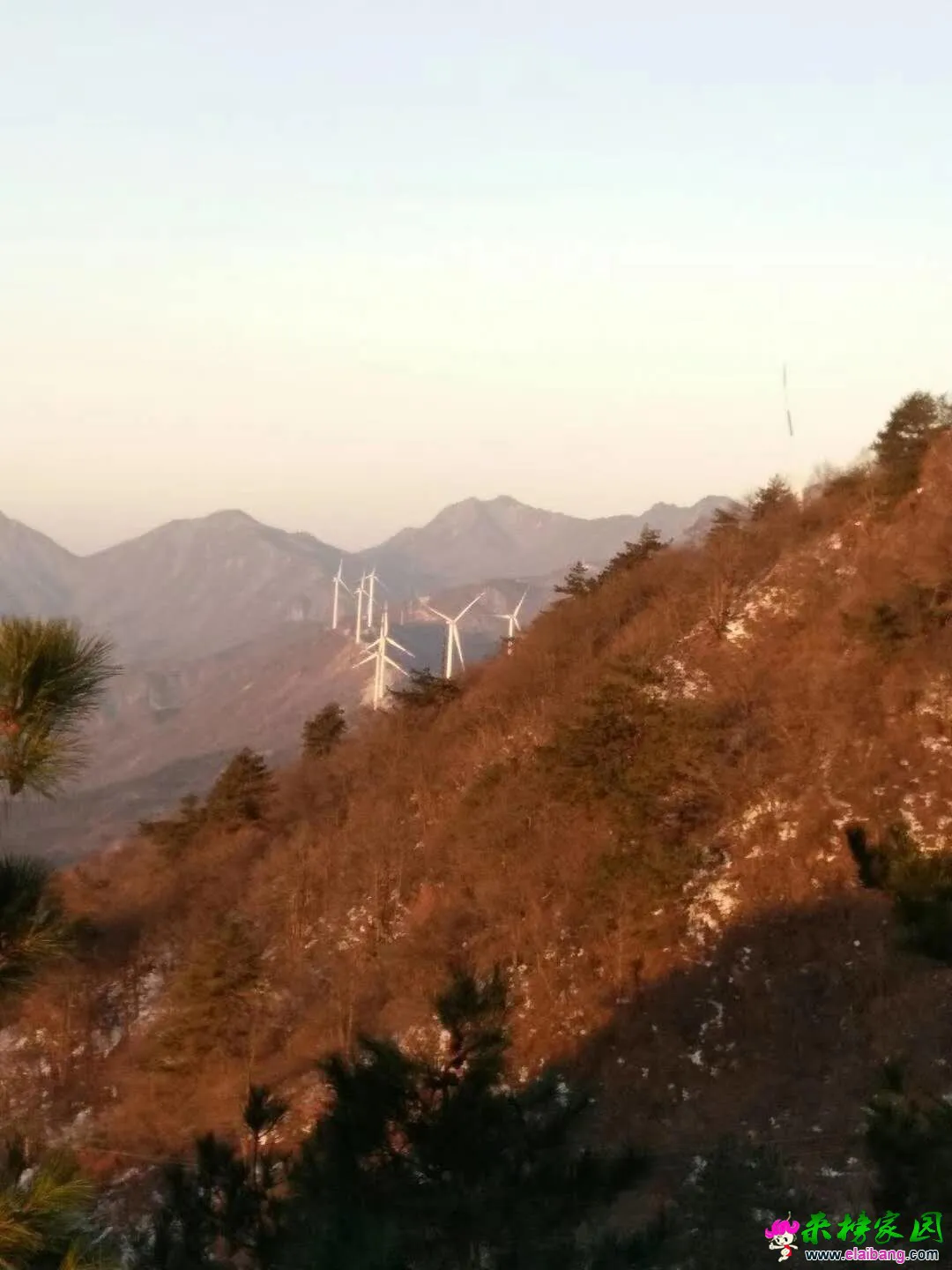 微信图片_20181220215656.webp