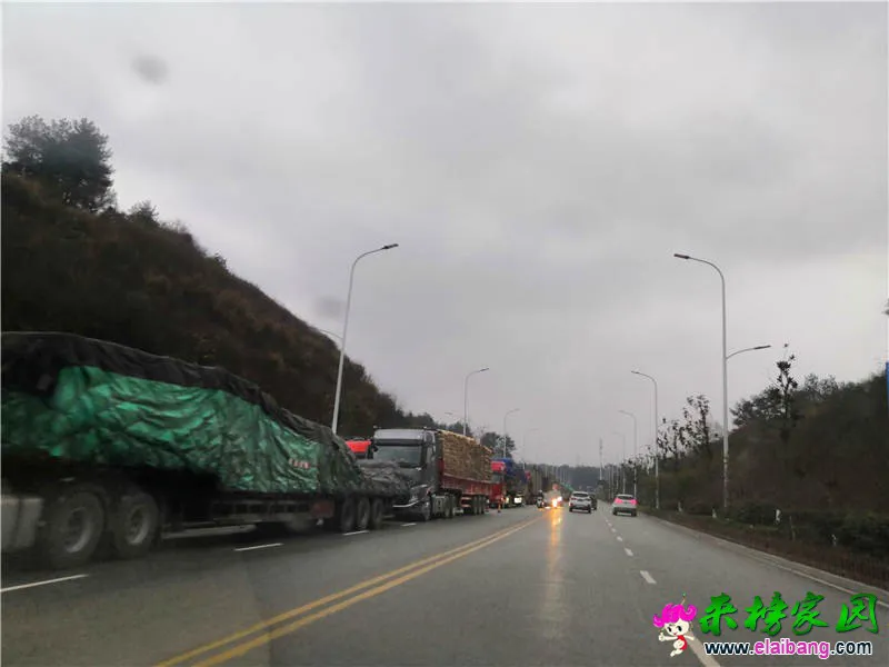 微信图片_20181228080435.webp