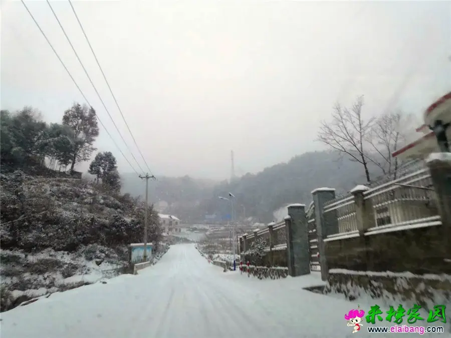 微信图片_20181230100032.webp
