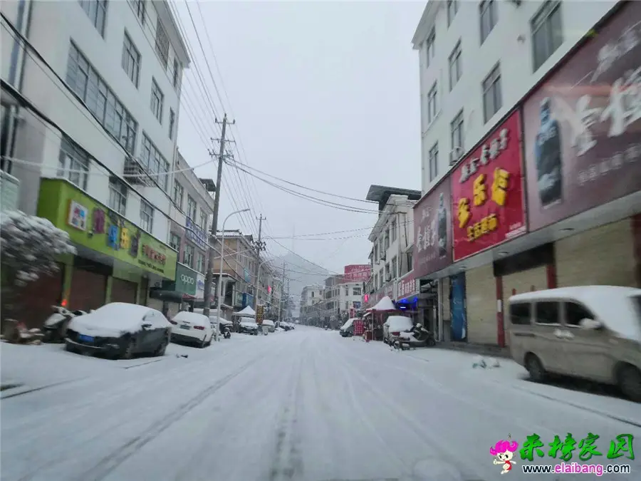 微信图片_20181230100025.webp