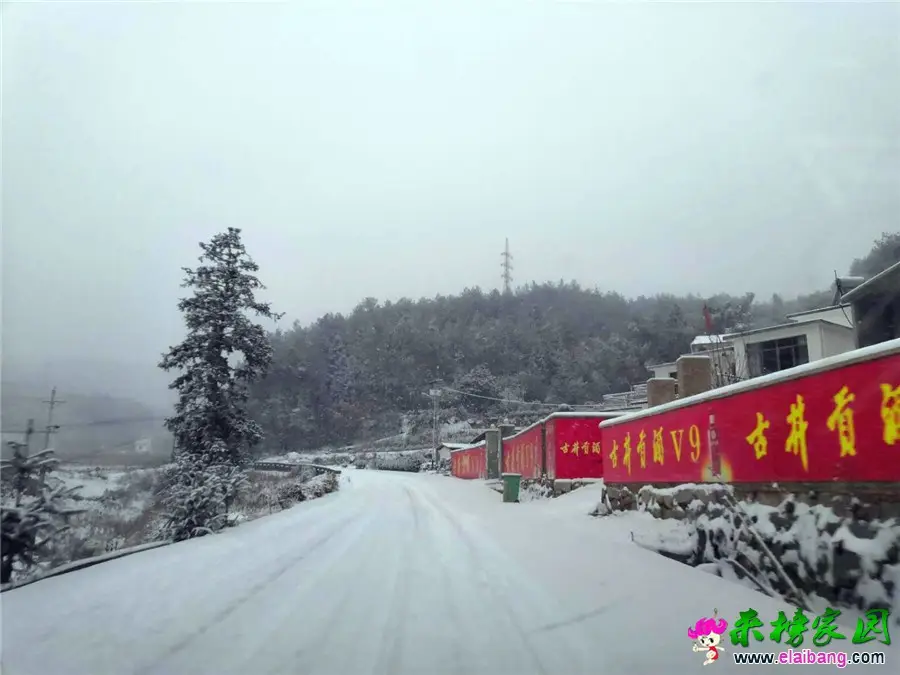 微信图片_20181230100023.webp