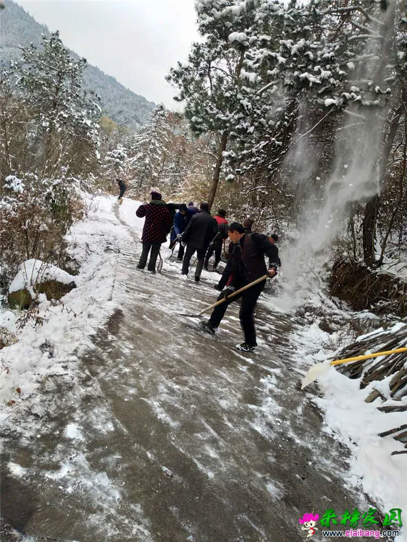 微信图片_20181231215830.webp