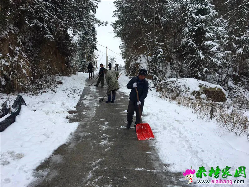 微信图片_20181231215824.webp