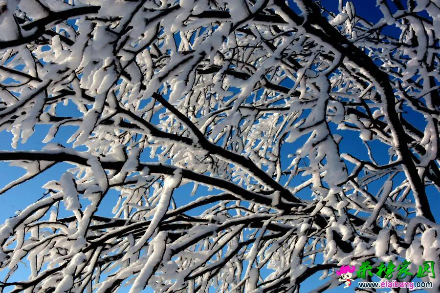 210126tmpe8e402y92erdk.webp