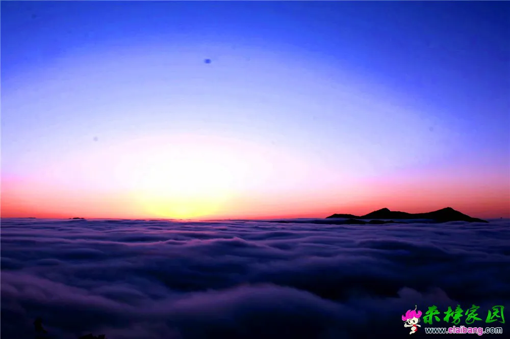 02.webp