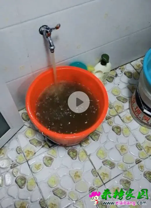173037qicytkcl619vccki.webp