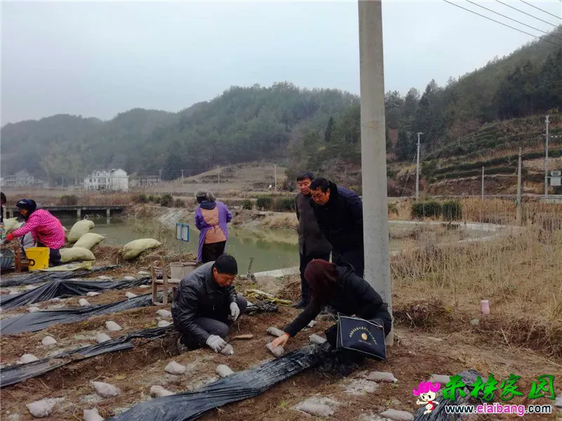 微信图片_20190106175738.webp
