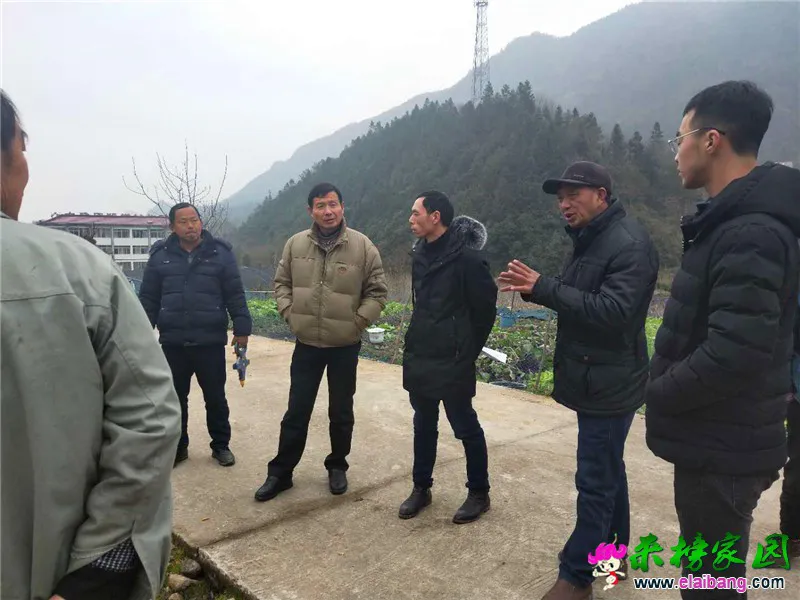 微信图片_20190107214226.webp