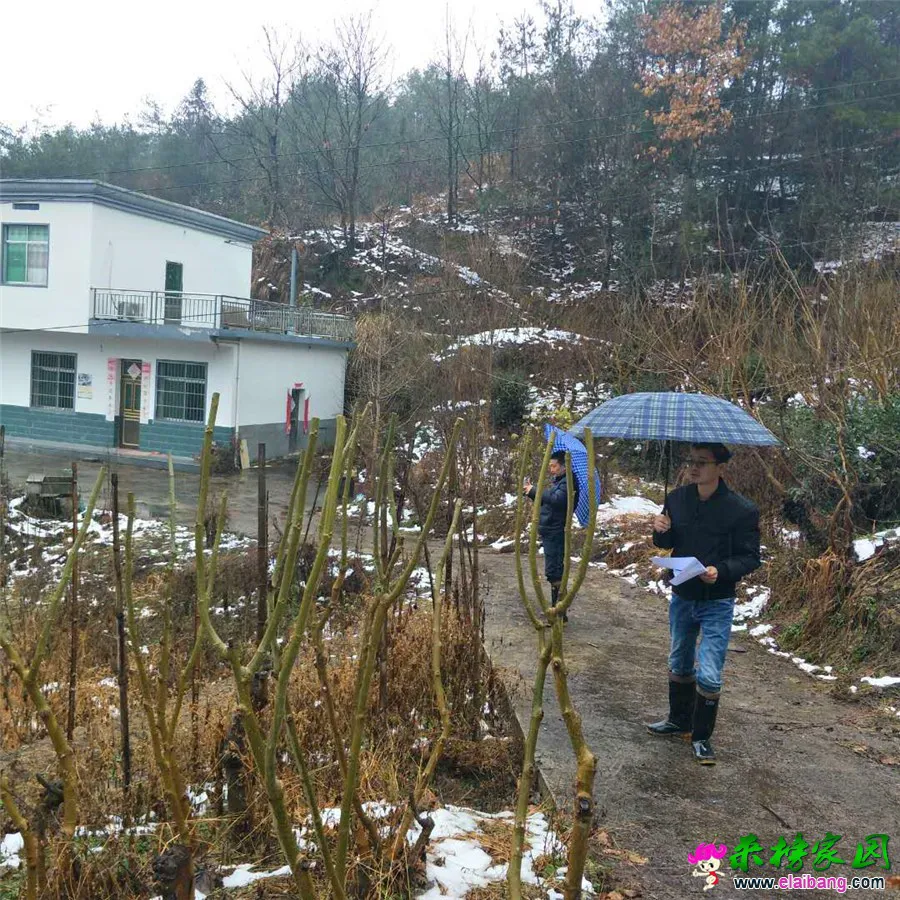 微信图片_20190111225834.webp