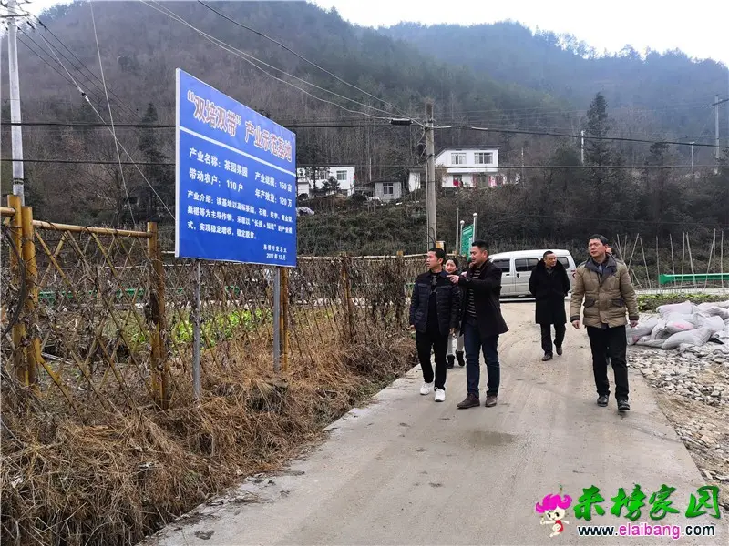 微信图片_20190112213946.webp