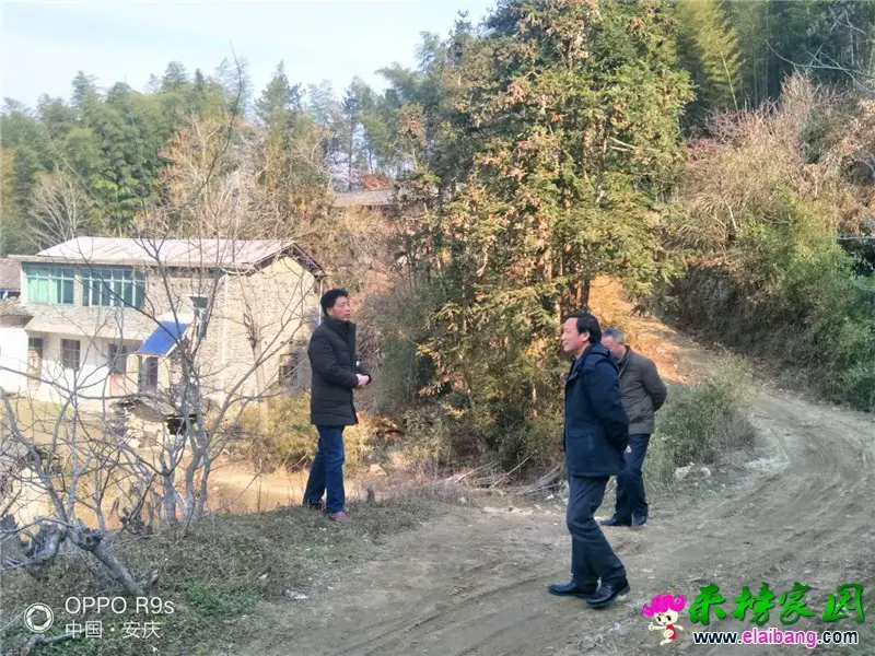 微信图片_20190121173646.webp