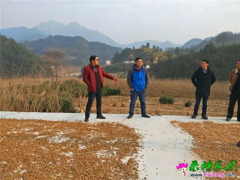 微信图片_20190121173656.webp
