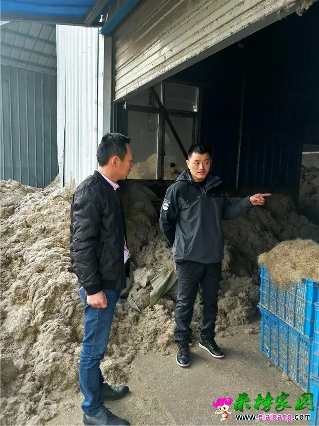 微信图片_20190122210155.webp