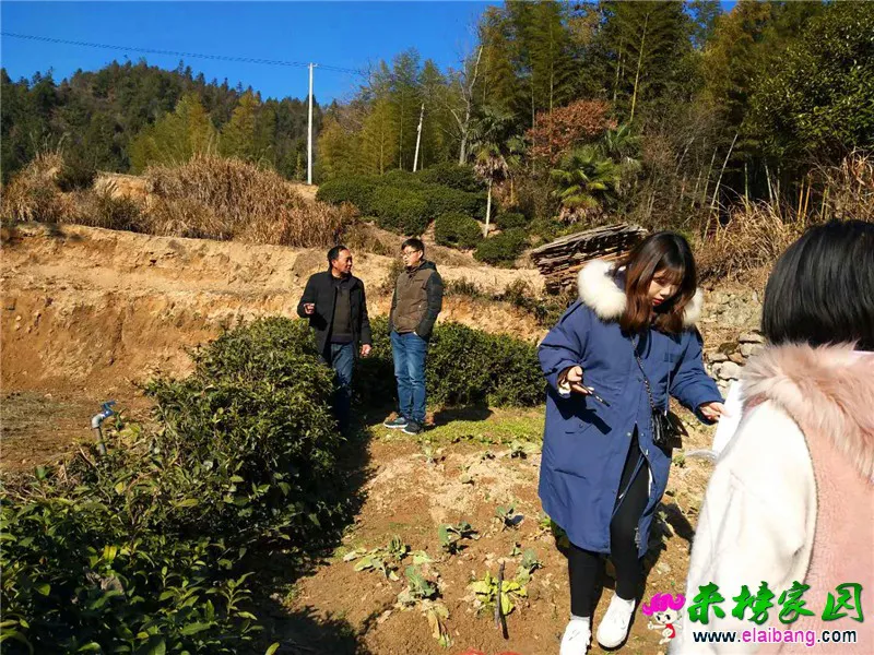微信图片_20190124213452.webp