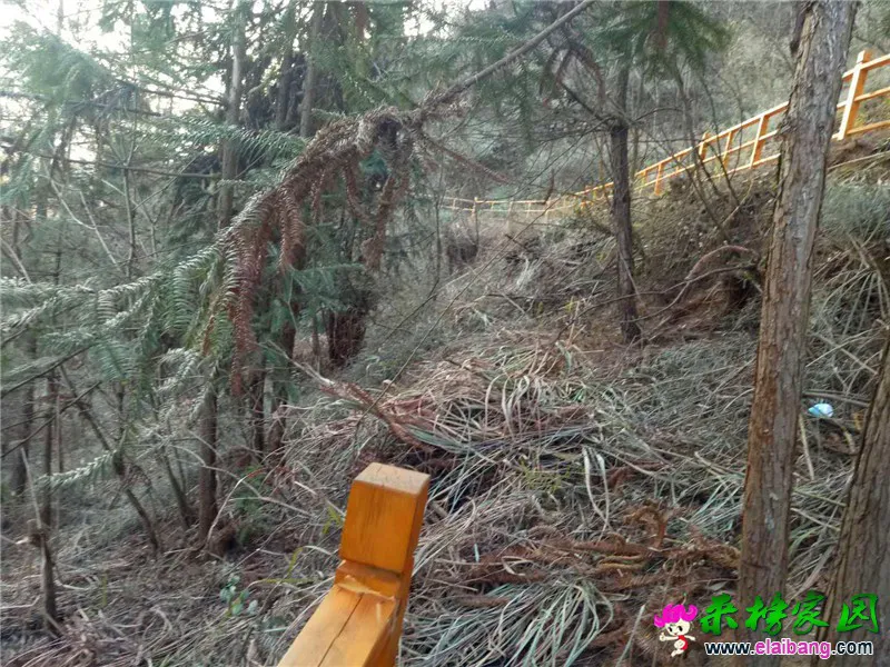 微信图片_20190124213514.webp